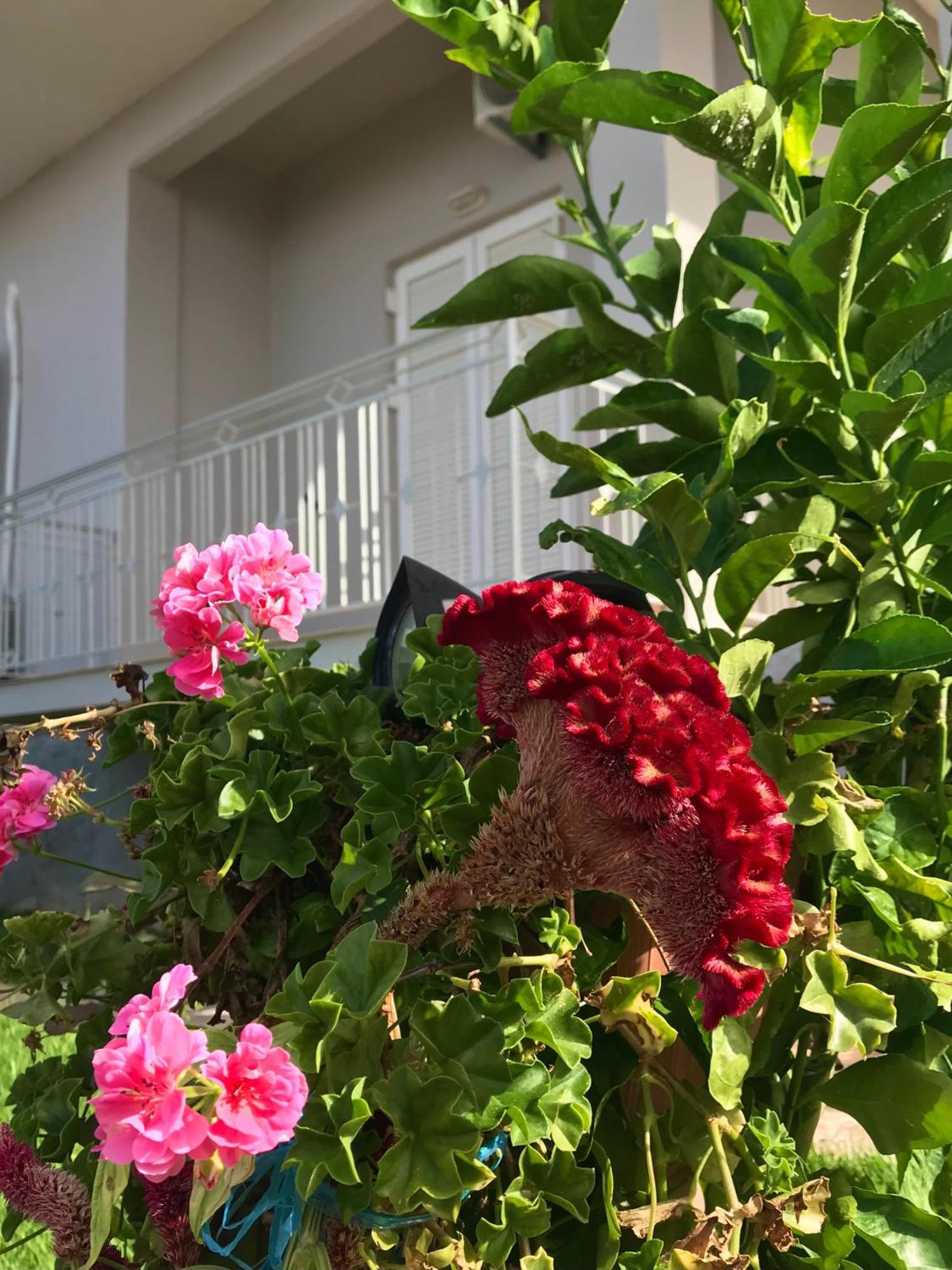 Kalimera Suite Kalamata Bagian luar foto
